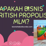 Apakah Bisnis British Propolis MLM?