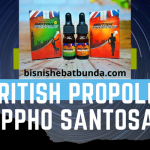 british propolis ippho santosa