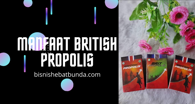 manfaat british propolis