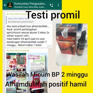 manfaat british propolis untuk program hamil 