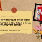 6 Rekomendasi Merk Rice Cooker yang Aman untuk Kesehatan Tubuh