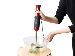 Blender Tangan (Hand Blender)