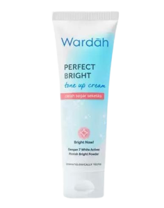 Perfect Bright Tone Up Cream