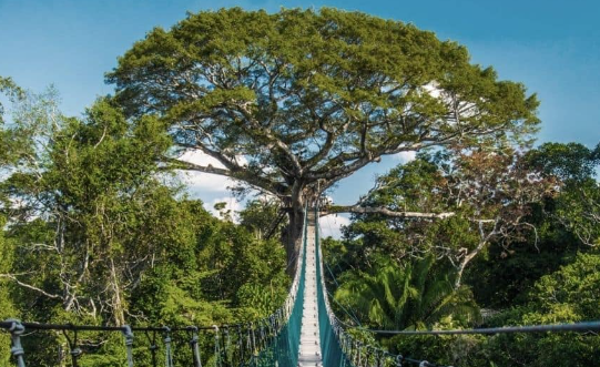 Keindahan Tambopata National Reserve