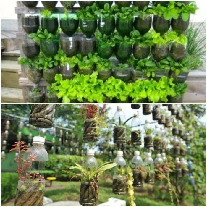 Vertical recycled bottles plastic gardening world ways than cool one wake