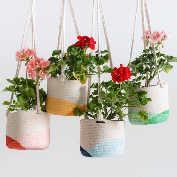 Hanging pots plant plants indoor clear planter baskets planters stylish edge give viri